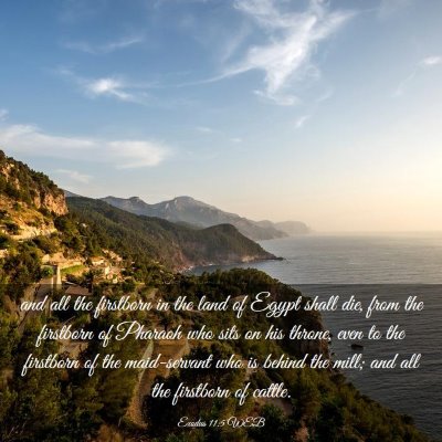 Picture 03 - Exodus 11:5 WEB - and all the firstborn in the land of Egypt shall - Bible Verse Picture