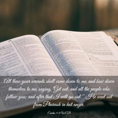 Picture 03 - Exodus 11:8 WEB - All these your servants shall come down to me, - Bible Verse Picture