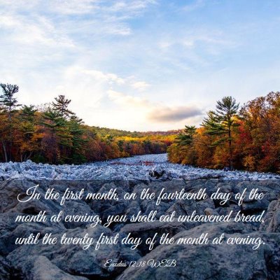 Picture 03 - Exodus 12:18 WEB - In the first month, on the fourteenth day of the - Bible Verse Picture