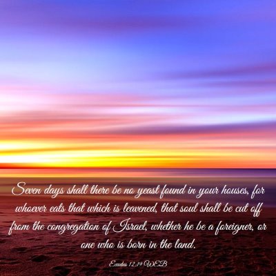 Picture 03 - Exodus 12:19 WEB - Seven days shall there be no yeast found in your - Bible Verse Picture