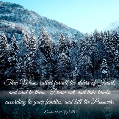 Picture 03 - Exodus 12:21 WEB - Then Moses called for all the elders of Israel, - Bible Verse Picture