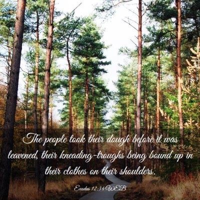 Picture 03 - Exodus 12:34 WEB - The people took their dough before it was - Bible Verse Picture