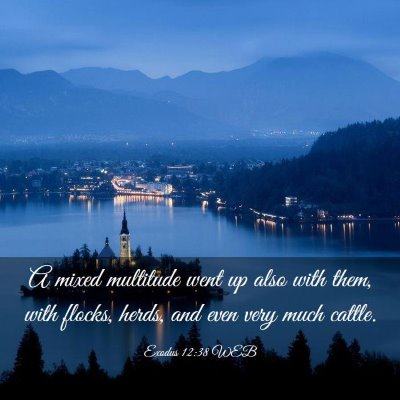 Picture 03 - Exodus 12:38 WEB - A mixed multitude went up also with them, with - Bible Verse Picture