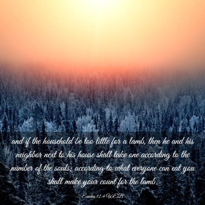Picture 03 - Exodus 12:4 WEB - and if the household be too little for a lamb, - Bible Verse Picture