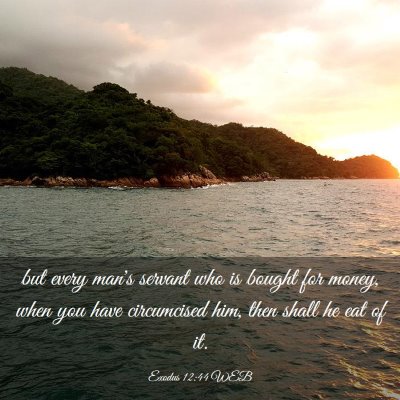 Picture 03 - Exodus 12:44 WEB - but every man's servant who is bought for money, - Bible Verse Picture