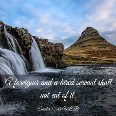 Picture 03 - Exodus 12:45 WEB - A foreigner and a hired servant shall not eat of - Bible Verse Picture