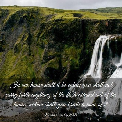 Picture 03 - Exodus 12:46 WEB - In one house shall it be eaten; you shall not - Bible Verse Picture