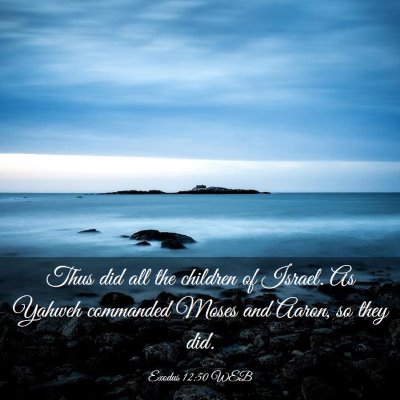 Picture 03 - Exodus 12:50 WEB - Thus did all the children of Israel. As Yahweh - Bible Verse Picture