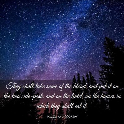 Picture 03 - Exodus 12:7 WEB - They shall take some of the blood, and put it on - Bible Verse Picture