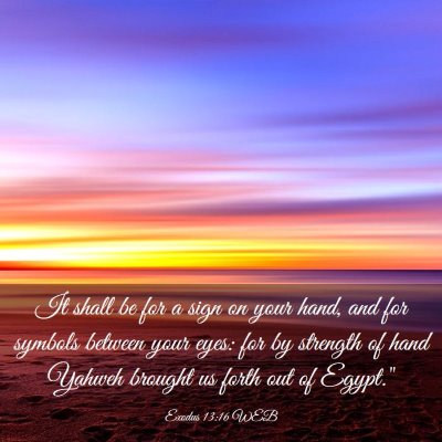 Picture 03 - Exodus 13:16 WEB - It shall be for a sign on your hand, and for - Bible Verse Picture