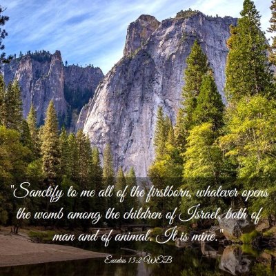 Picture 03 - Exodus 13:2 WEB - 