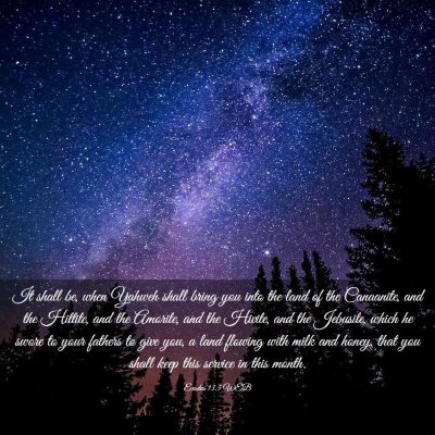 Picture 03 - Exodus 13:5 WEB - It shall be, when Yahweh shall bring you into the - Bible Verse Picture