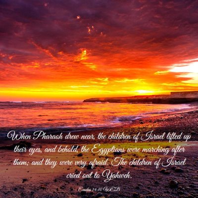 Picture 03 - Exodus 14:10 WEB - When Pharaoh drew near, the children of Israel - Bible Verse Picture