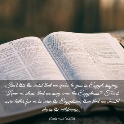 Picture 03 - Exodus 14:12 WEB - Isn't this the word that we spoke to you in - Bible Verse Picture