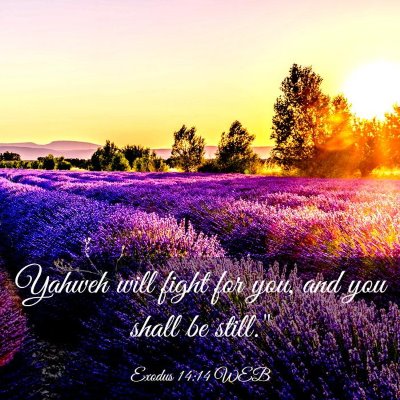 Picture 03 - Exodus 14:14 WEB - Yahweh will fight for you, and you shall be - Bible Verse Picture
