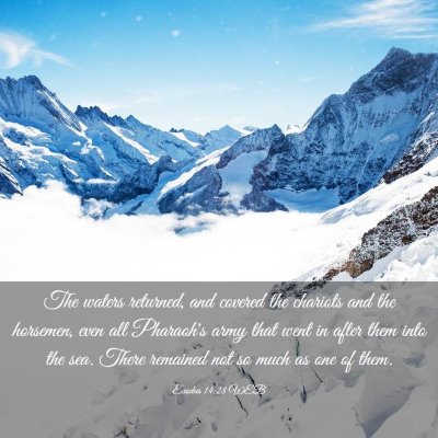 Picture 03 - Exodus 14:28 WEB - The waters returned, and covered the chariots and - Bible Verse Picture
