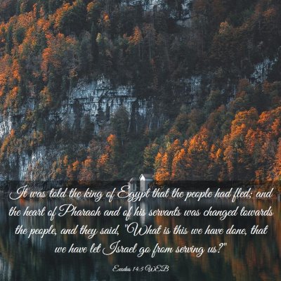 Picture 03 - Exodus 14:5 WEB - It was told the king of Egypt that the people had - Bible Verse Picture