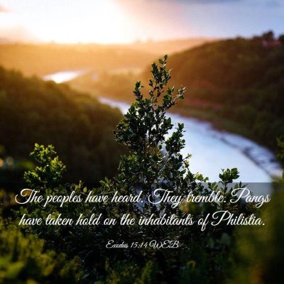 Picture 03 - Exodus 15:14 WEB - The peoples have heard. They tremble. Pangs have - Bible Verse Picture