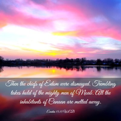 Picture 03 - Exodus 15:15 WEB - Then the chiefs of Edom were dismayed. Trembling - Bible Verse Picture