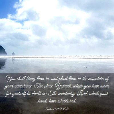 Picture 03 - Exodus 15:17 WEB - You shall bring them in, and plant them in the - Bible Verse Picture