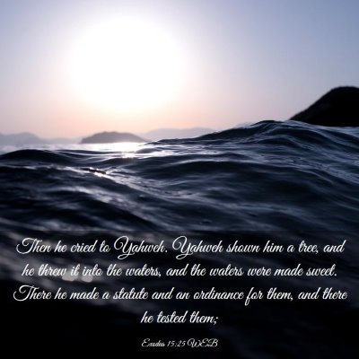 Picture 03 - Exodus 15:25 WEB - Then he cried to Yahweh. Yahweh shown him a tree, - Bible Verse Picture