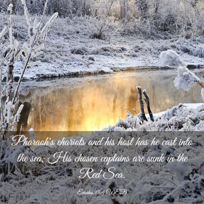 Picture 03 - Exodus 15:4 WEB - Pharaoh's chariots and his host has he cast into - Bible Verse Picture