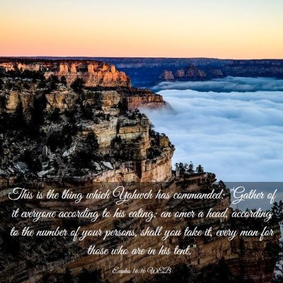 Picture 03 - Exodus 16:16 WEB - This is the thing which Yahweh has commanded: - Bible Verse Picture