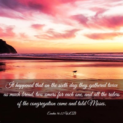 Picture 03 - Exodus 16:22 WEB - It happened that on the sixth day they gathered - Bible Verse Picture