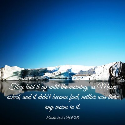 Picture 03 - Exodus 16:24 WEB - They laid it up until the morning, as Moses - Bible Verse Picture