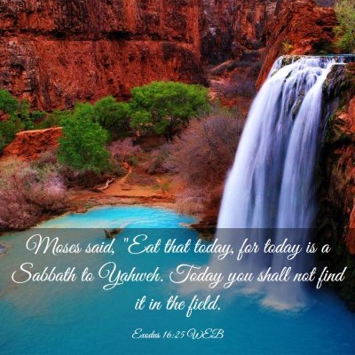 Picture 03 - Exodus 16:25 WEB - Moses said, 