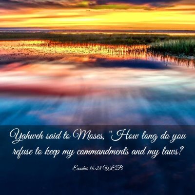 Picture 03 - Exodus 16:28 WEB - Yahweh said to Moses, 