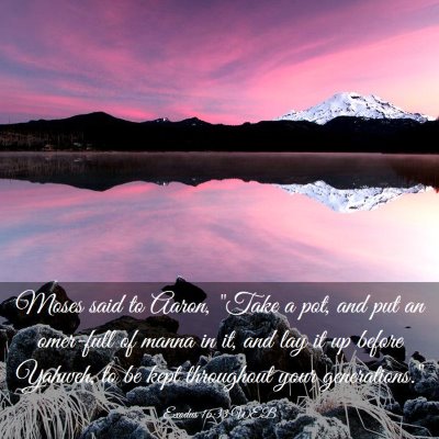 Picture 03 - Exodus 16:33 WEB - Moses said to Aaron, 