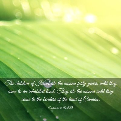 Picture 03 - Exodus 16:35 WEB - The children of Israel ate the manna forty years, - Bible Verse Picture