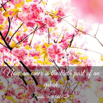 Picture 03 - Exodus 16:36 WEB - Now an omer is the tenth part of an - Bible Verse Picture