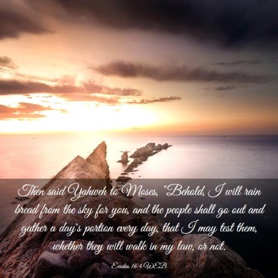 Picture 03 - Exodus 16:4 WEB - Then said Yahweh to Moses, 