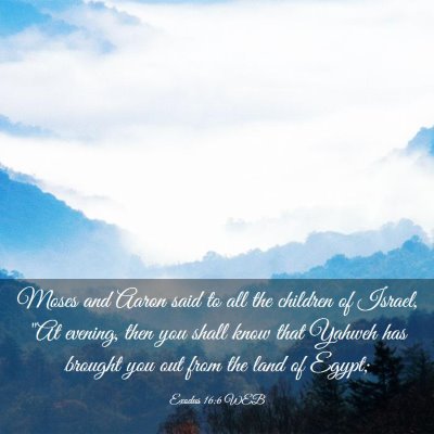 Picture 03 - Exodus 16:6 WEB - Moses and Aaron said to all the children of - Bible Verse Picture