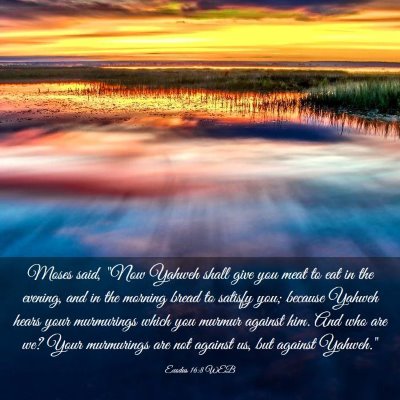 Picture 03 - Exodus 16:8 WEB - Moses said, 