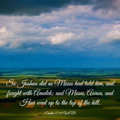 Picture 03 - Exodus 17:10 WEB - So Joshua did as Moses had told him, and fought - Bible Verse Picture