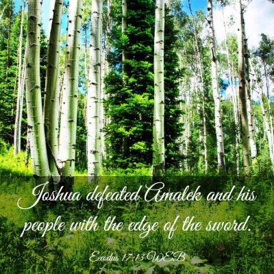 Picture 03 - Exodus 17:13 WEB - Joshua defeated Amalek and his people with the - Bible Verse Picture