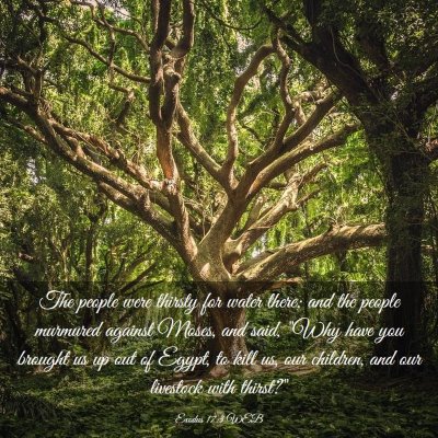 Picture 03 - Exodus 17:3 WEB - The people were thirsty for water there; and the - Bible Verse Picture