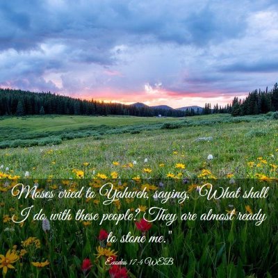 Picture 03 - Exodus 17:4 WEB - Moses cried to Yahweh, saying, 