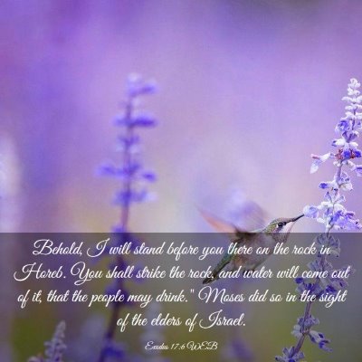 Picture 03 - Exodus 17:6 WEB - Behold, I will stand before you there on the rock - Bible Verse Picture