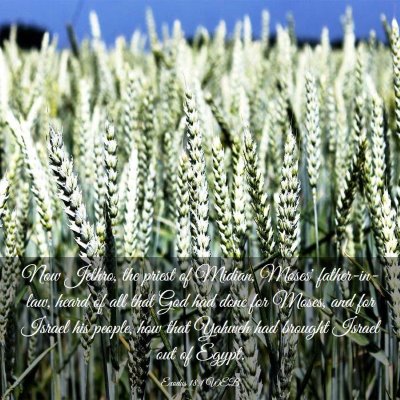 Picture 03 - Exodus 18:1 WEB - Now Jethro, the priest of Midian, Moses' - Bible Verse Picture