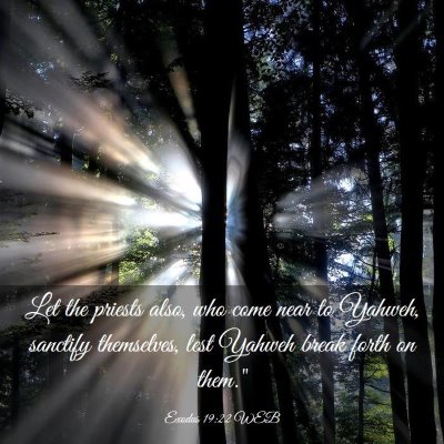 Picture 03 - Exodus 19:22 WEB - Let the priests also, who come near to Yahweh, - Bible Verse Picture