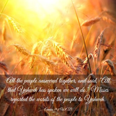 Picture 03 - Exodus 19:8 WEB - All the people answered together, and said, 