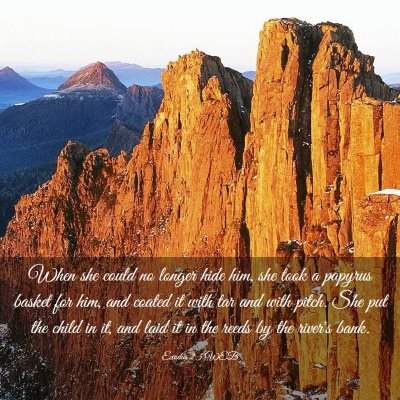 Picture 03 - Exodus 2:3 WEB - When she could no longer hide him, she took a - Bible Verse Picture