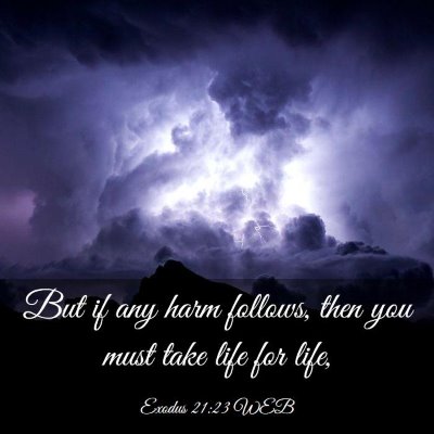 Picture 03 - Exodus 21:23 WEB - But if any harm follows, then you must take life - Bible Verse Picture
