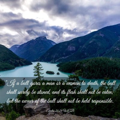 Picture 03 - Exodus 21:28 WEB - 