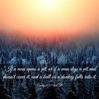 Picture 03 - Exodus 21:33 WEB - 