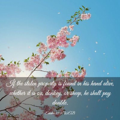 Picture 03 - Exodus 22:4 WEB - If the stolen property is found in his hand - Bible Verse Picture